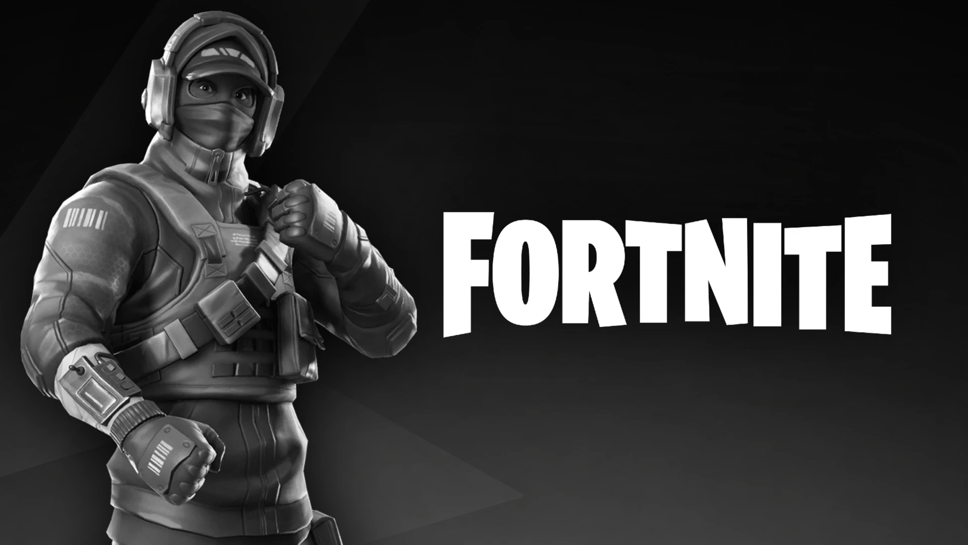Fortnite Software