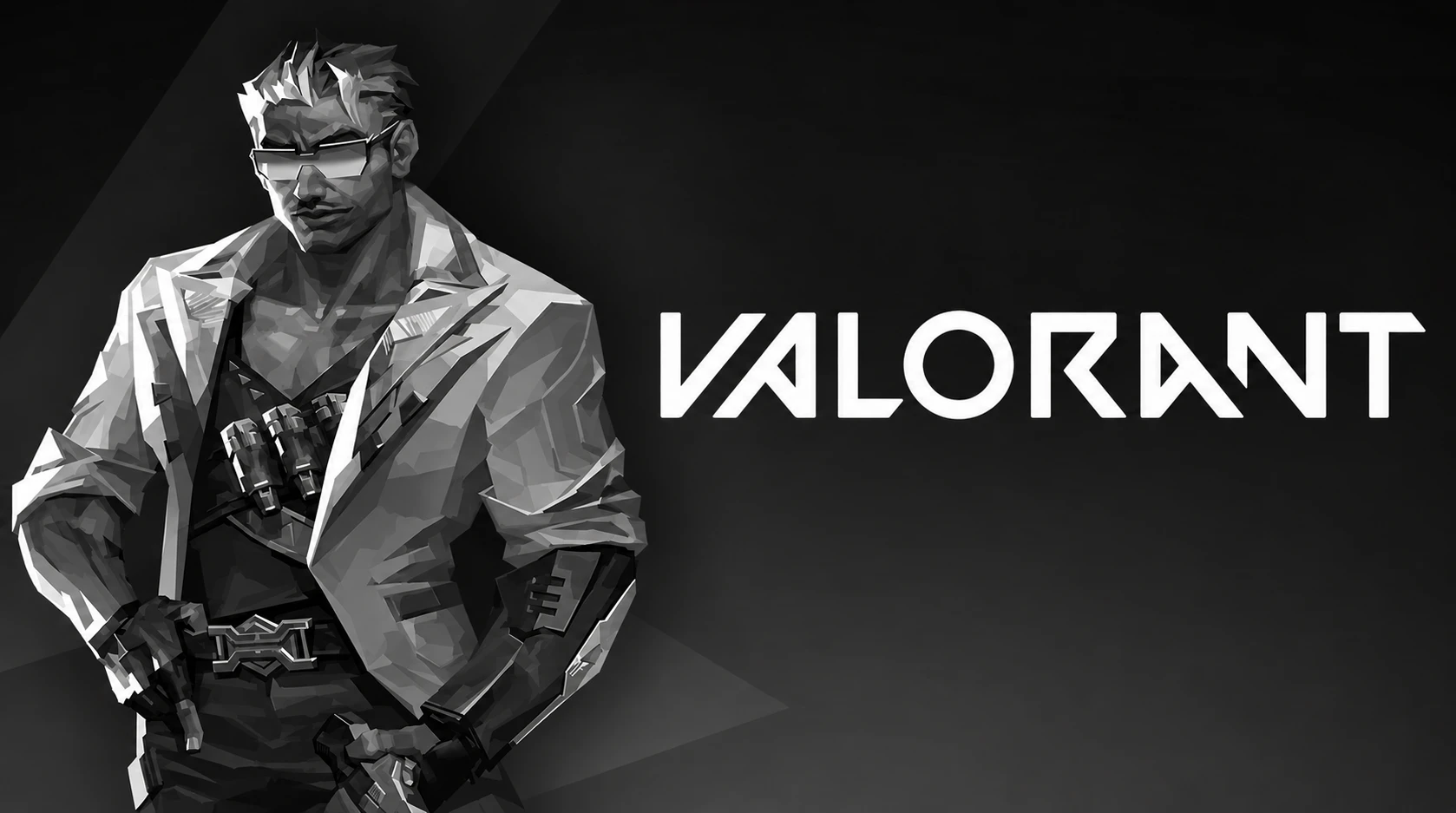 Valorant Software